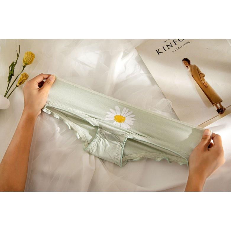 Quần Lót Nữ Cotton Cúc Họa Mi Thời Trang Ngang Eo . Hàng Loại Đẹp.