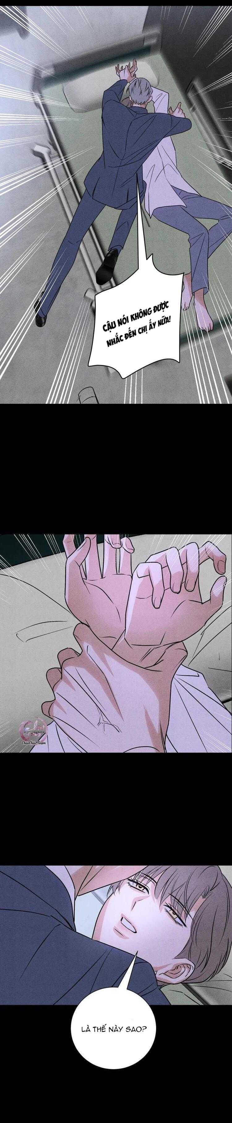 anh trai rẻ tiền của tôi chapter 56 17