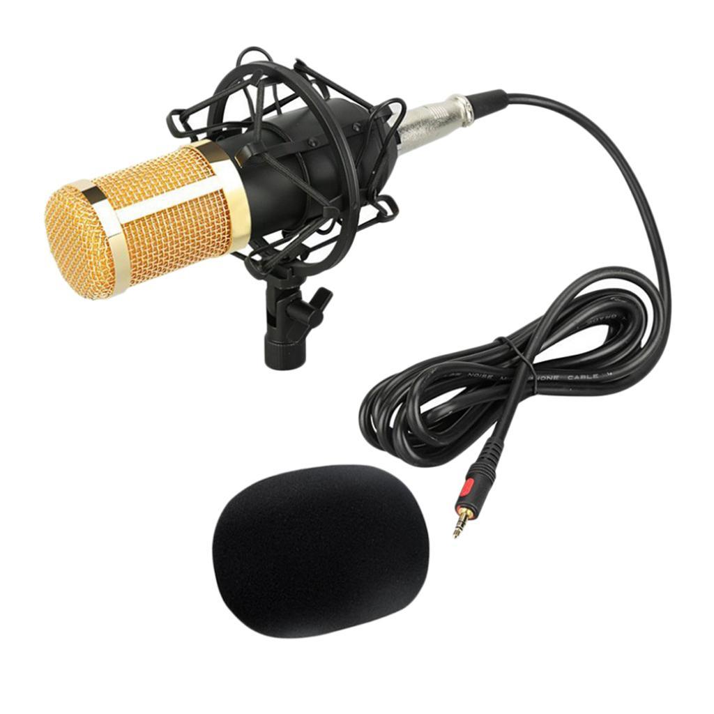Condenser Microphone Large Diaphragm MIC for Broadcasting/Studio Recording