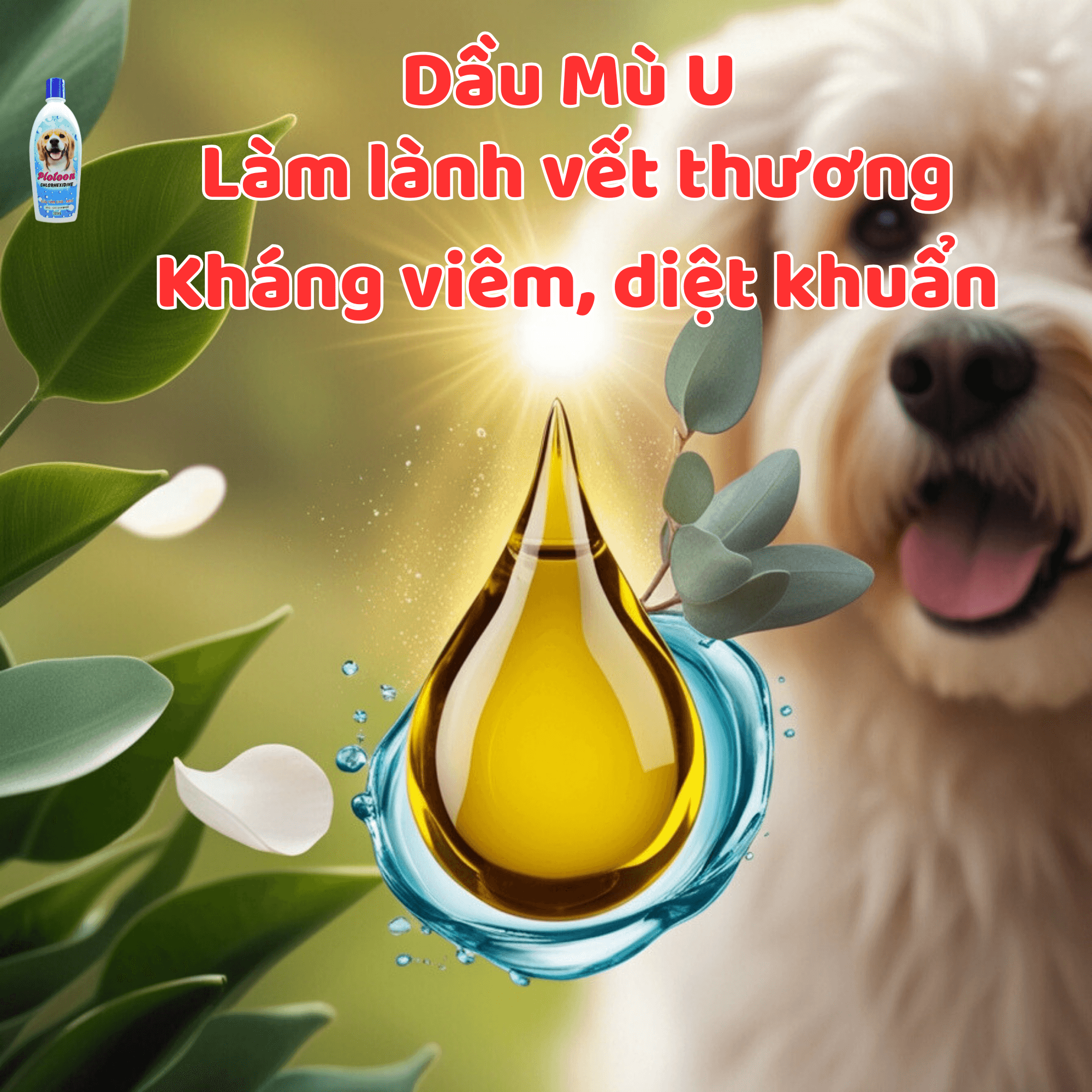 Dầu Tắm Plotoon Chlorhexidine 300ml