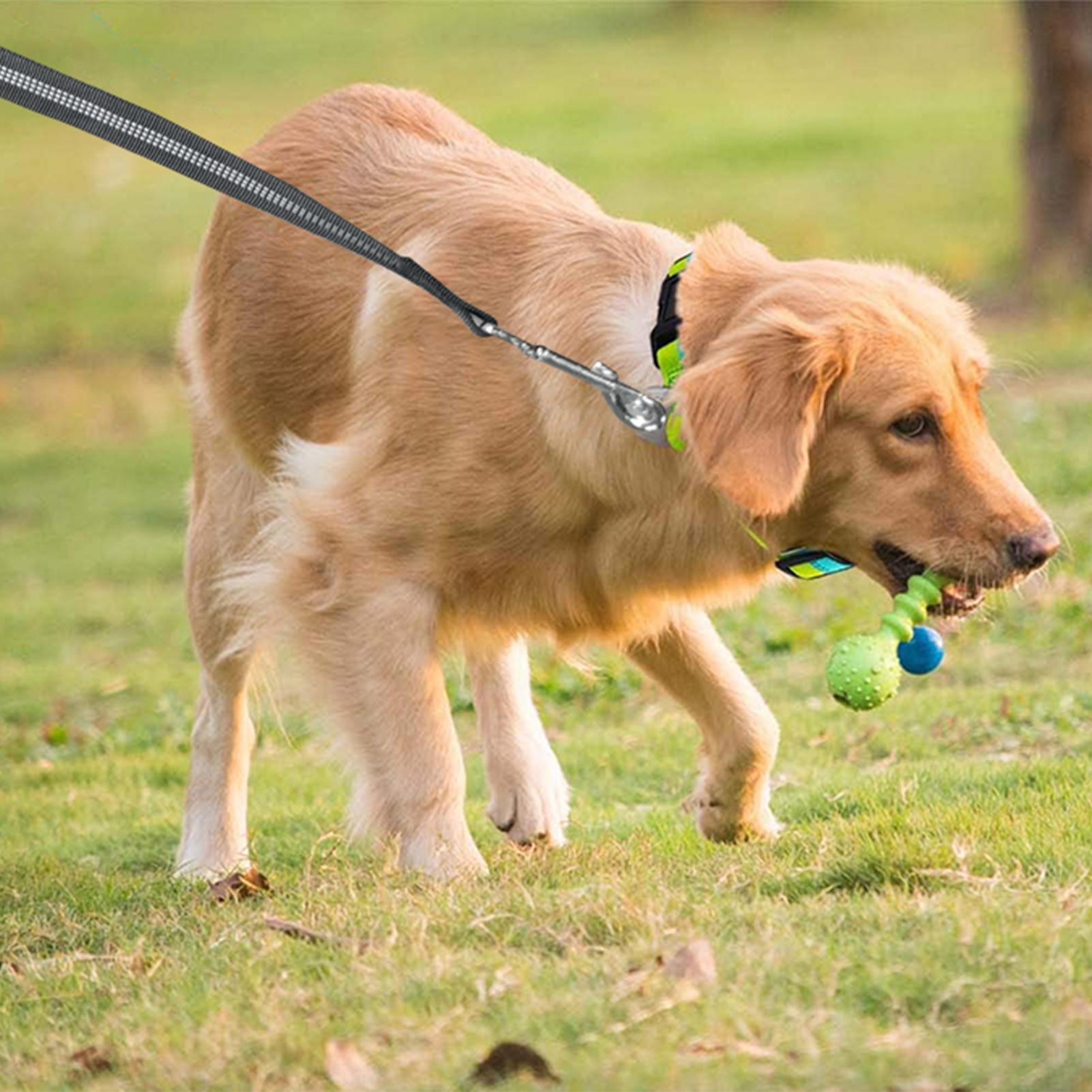 Dây xích thú cưng có phản quang có kèm theo túi đựng phân