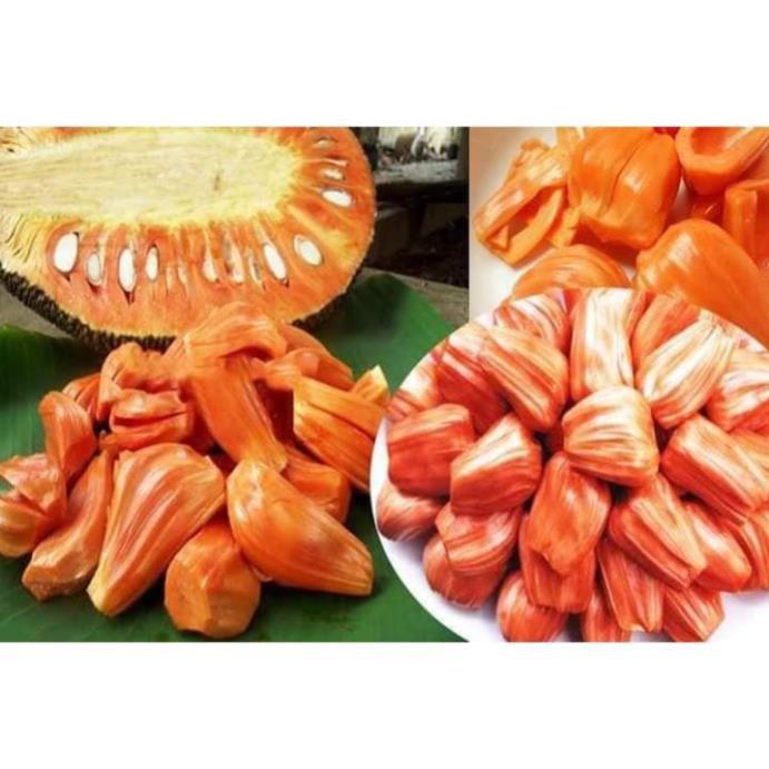 Sản phẩm MÍT THÁI LAN RUỘT ĐỎ