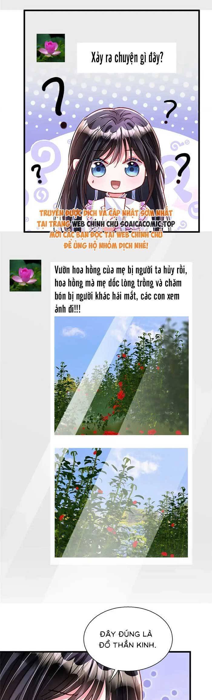 tổng tài huyết tộc cực sủng cô vợ mỹ nhân ngư chapter 209 17