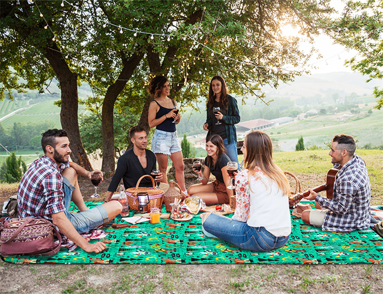 Thảm Trải Du Lịch Cắm Trại Picnic Dã Ngoại Đi Phượt Gấp Gọn Xách Tay Chống Nước NatureHike NH19D024-Z