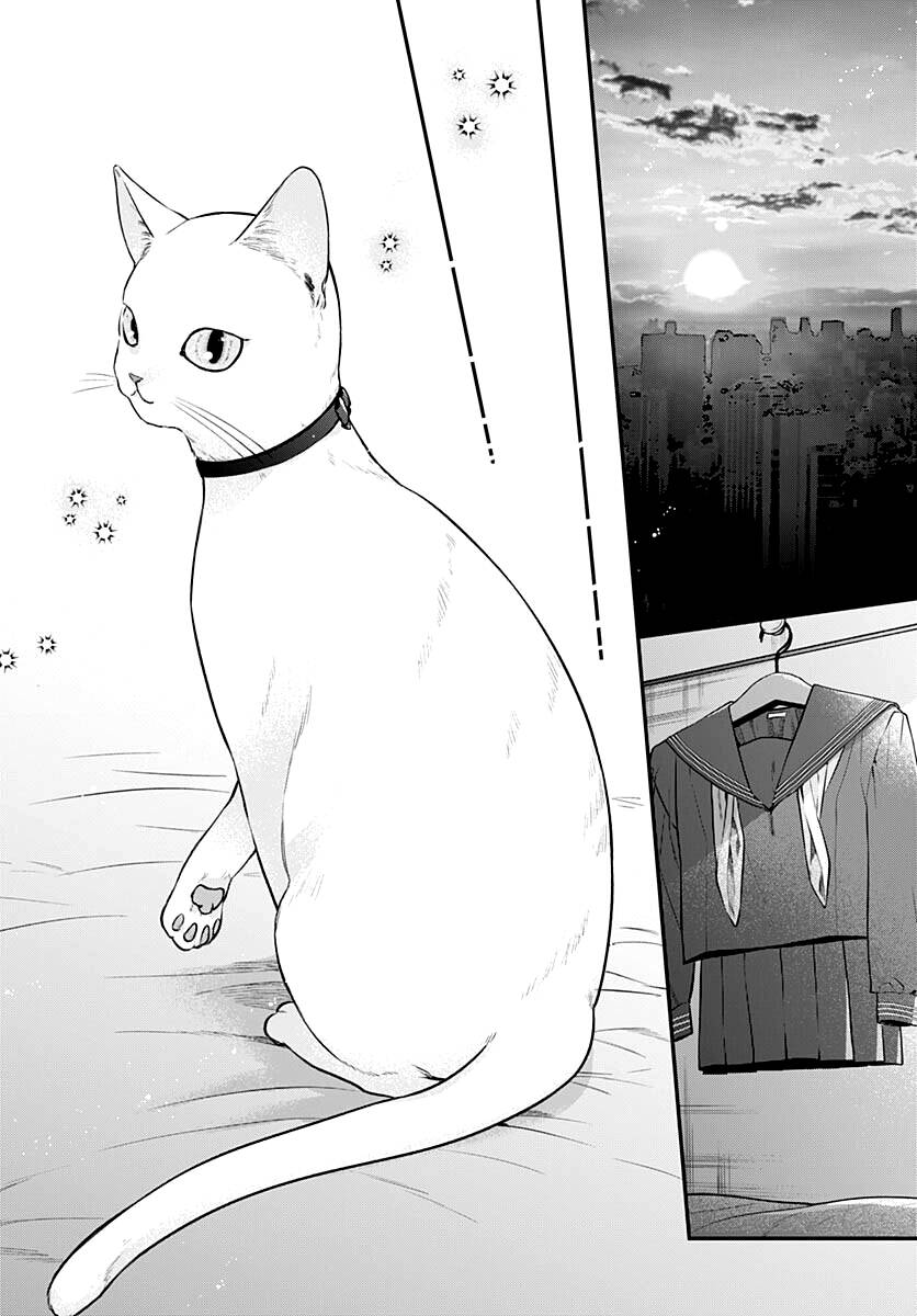 mi-chan muốn được nhận nuôi! chapter 8 28