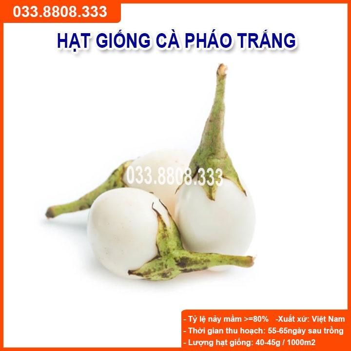 Hạt Giống Cà Pháo Trắng - Tỷ Lệ Nảy Mầm Cao