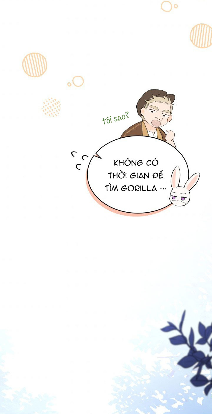 mối liên kết giữa báo đen và bé thỏ chapter 50 48