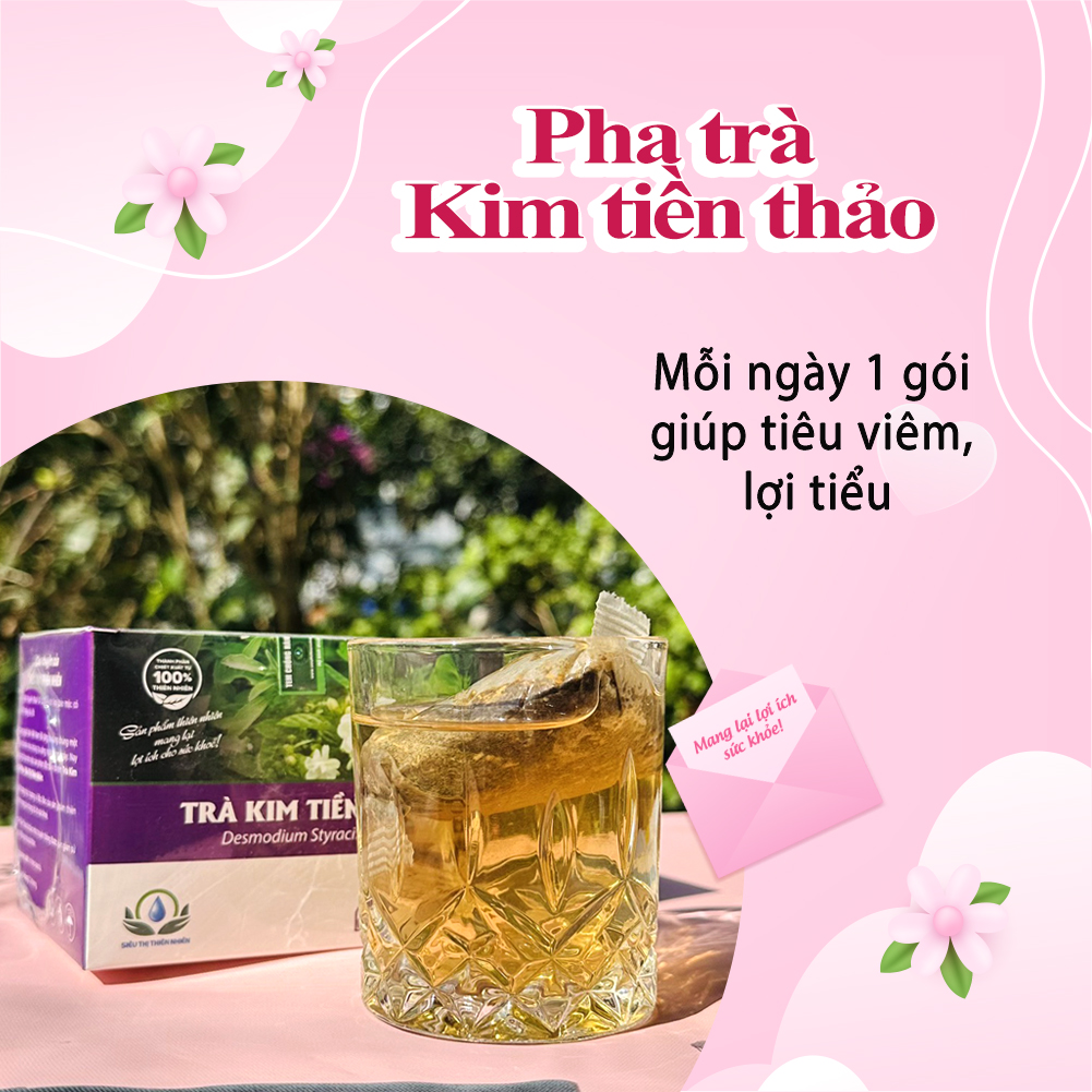 Trà Kim Tiền Thảo Hộp 30 Túi Lọc Của Siêu Thị Thiên Nhiên