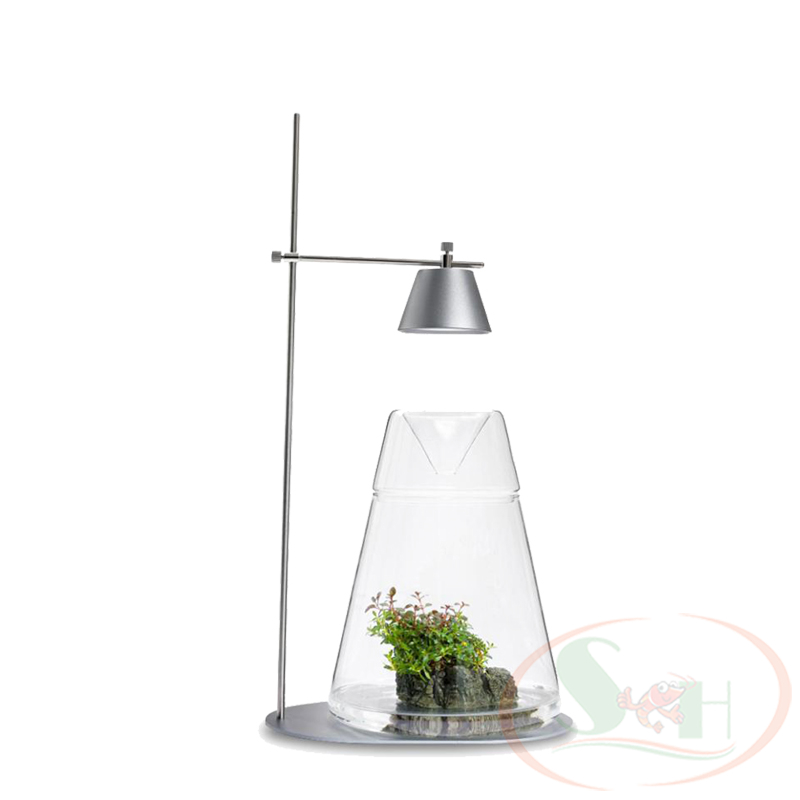 Bộ led LedStar WRGB Dot II series D400 đèn desktop để bàn trang trí tiểu cảnh