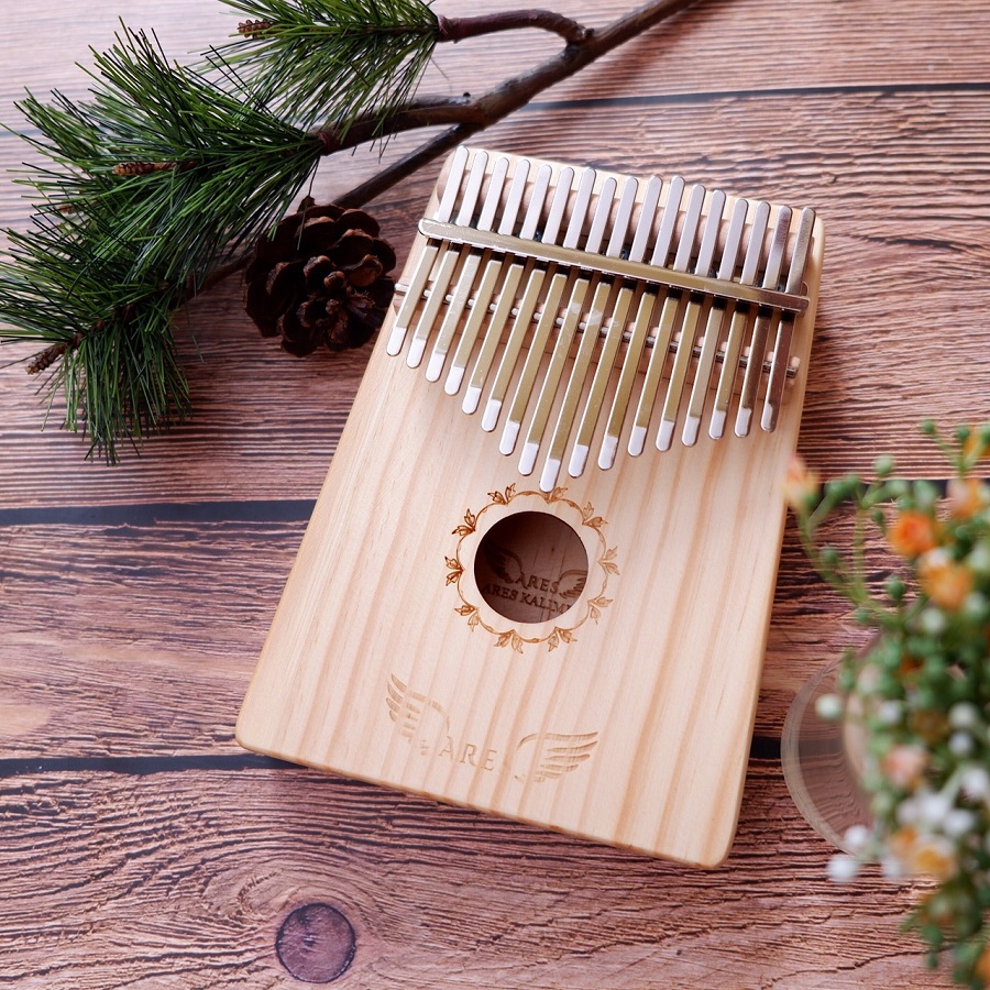 Combo Đàn Kalimba Ares A03 và Hộp chống sốc K02