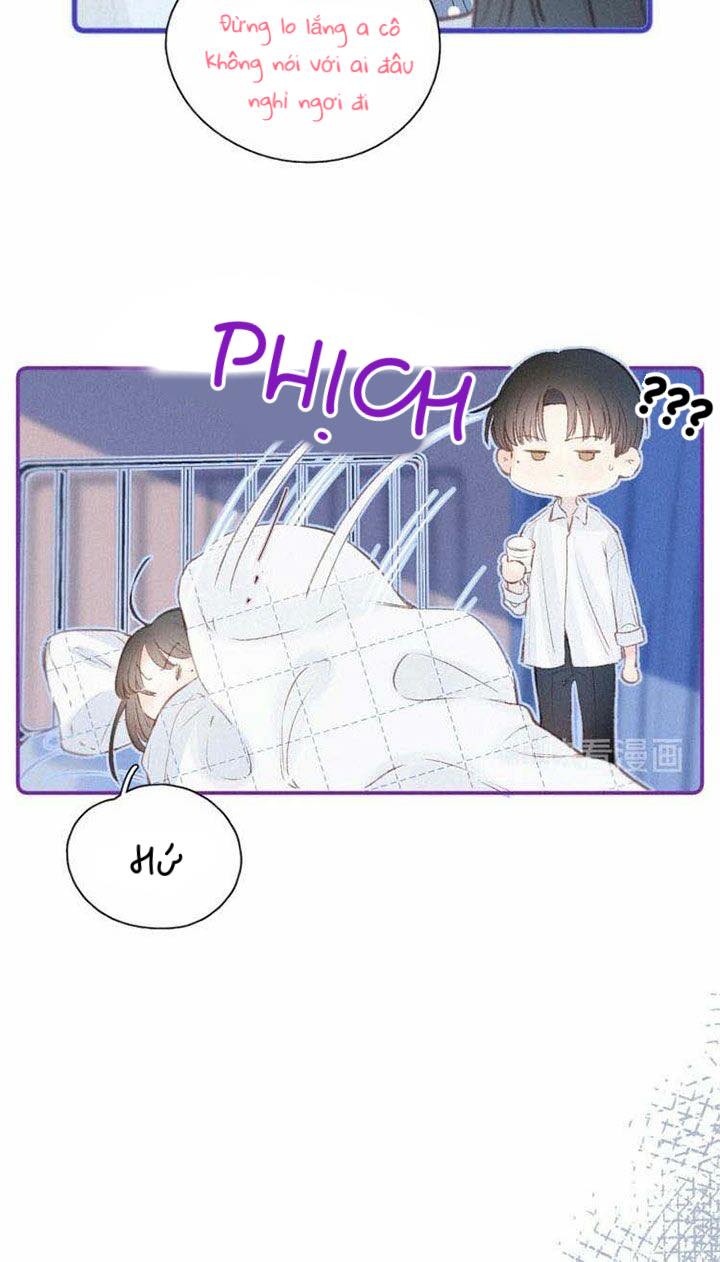 nỗi buồn của hoa cẩm tú cầu chapter 11 6