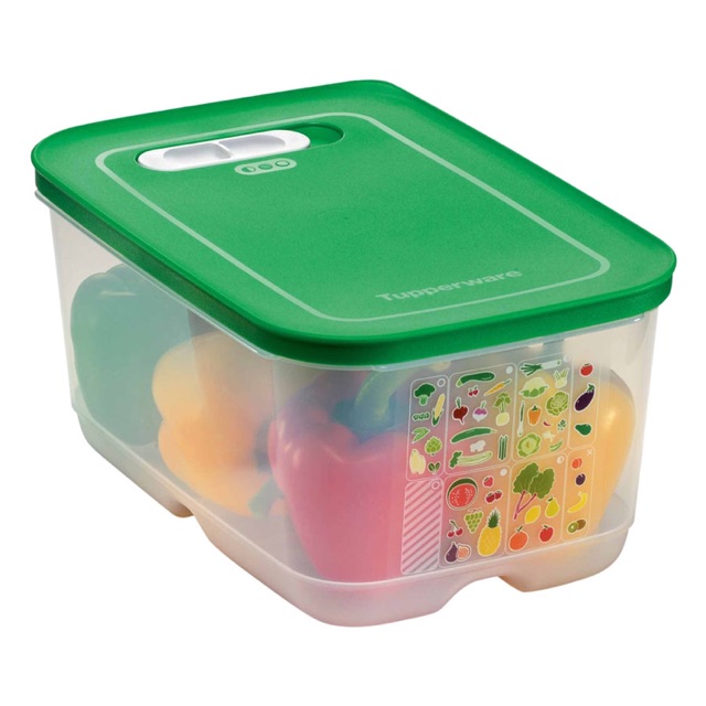 Hộp trữ mát có nút hô hấp Ventsmart 4.4L Tupperware