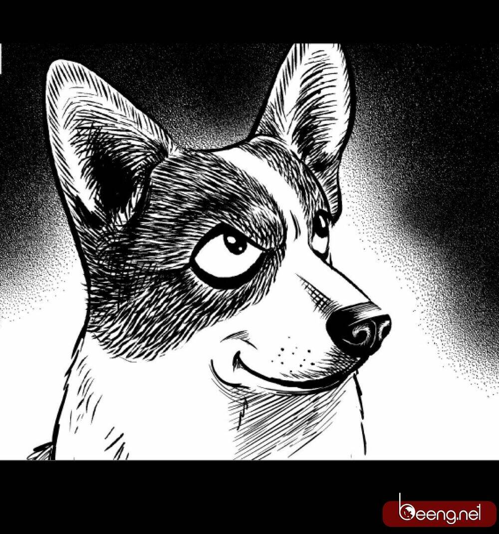 dạ hành khuyển chapter 2 48