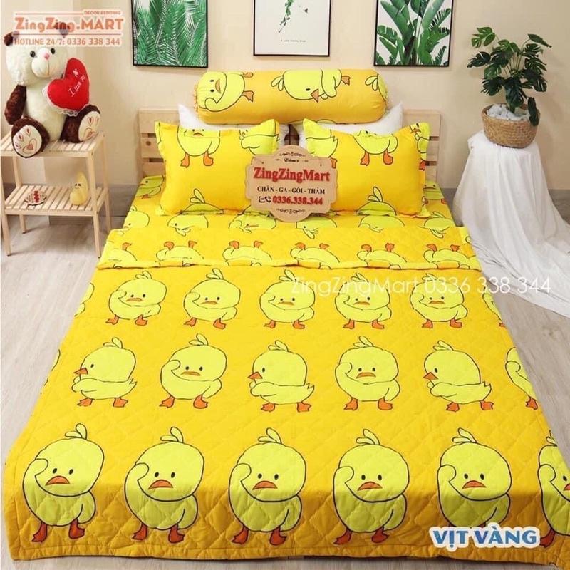 Sét 5 món ga poly cotton 2mx2m2