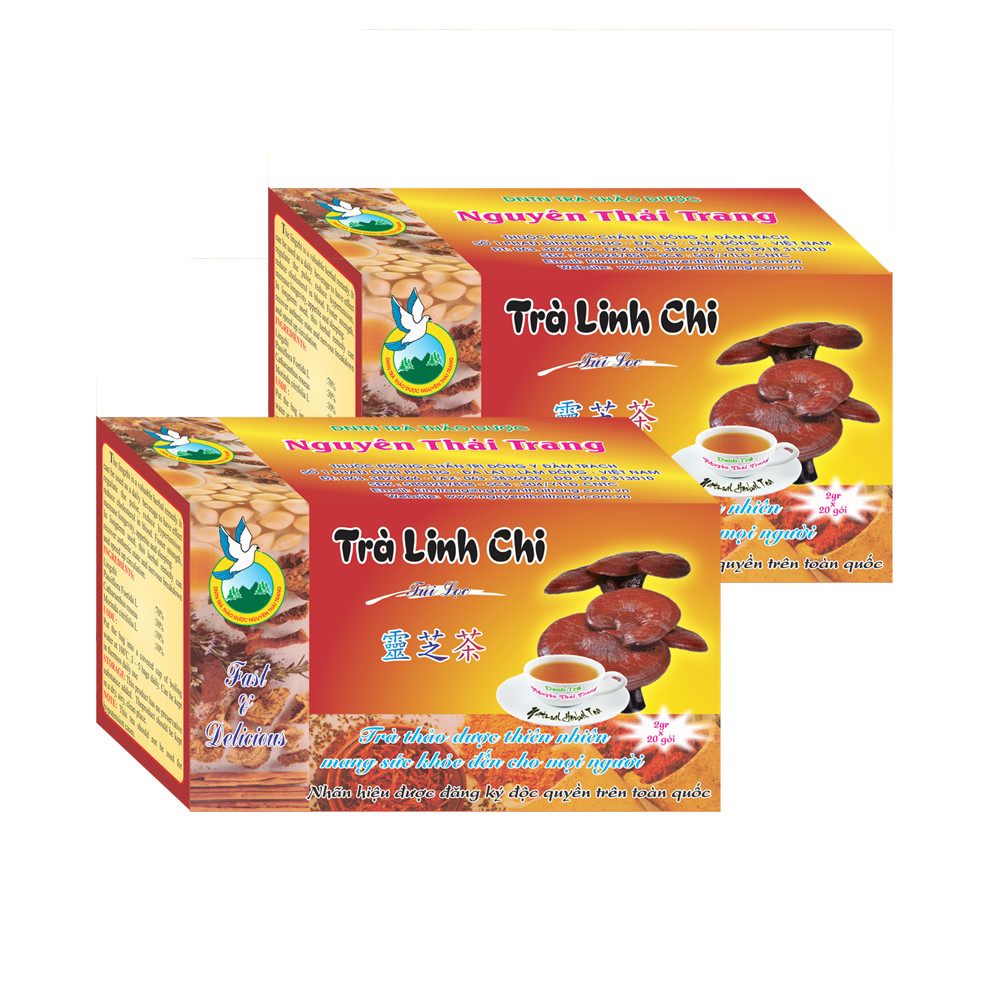 Combo 5 Hộp Trà Linh Chi (Hộp 20 Túi Lọc X 2gr) - Tăng Tuổi Thọ, Bồi Bổ Sức Khỏe  - Nguyên Thái Trang – Thảo Dược Thiên Nhiên