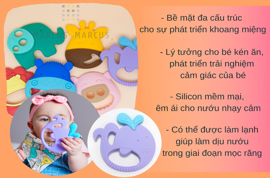 Đồ gặm nướu silicon cho bé Sensory Marcus &amp; Marcus, từ 6 tháng