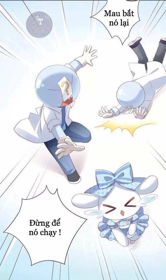dưới móng vuốt mèo chapter 15 14