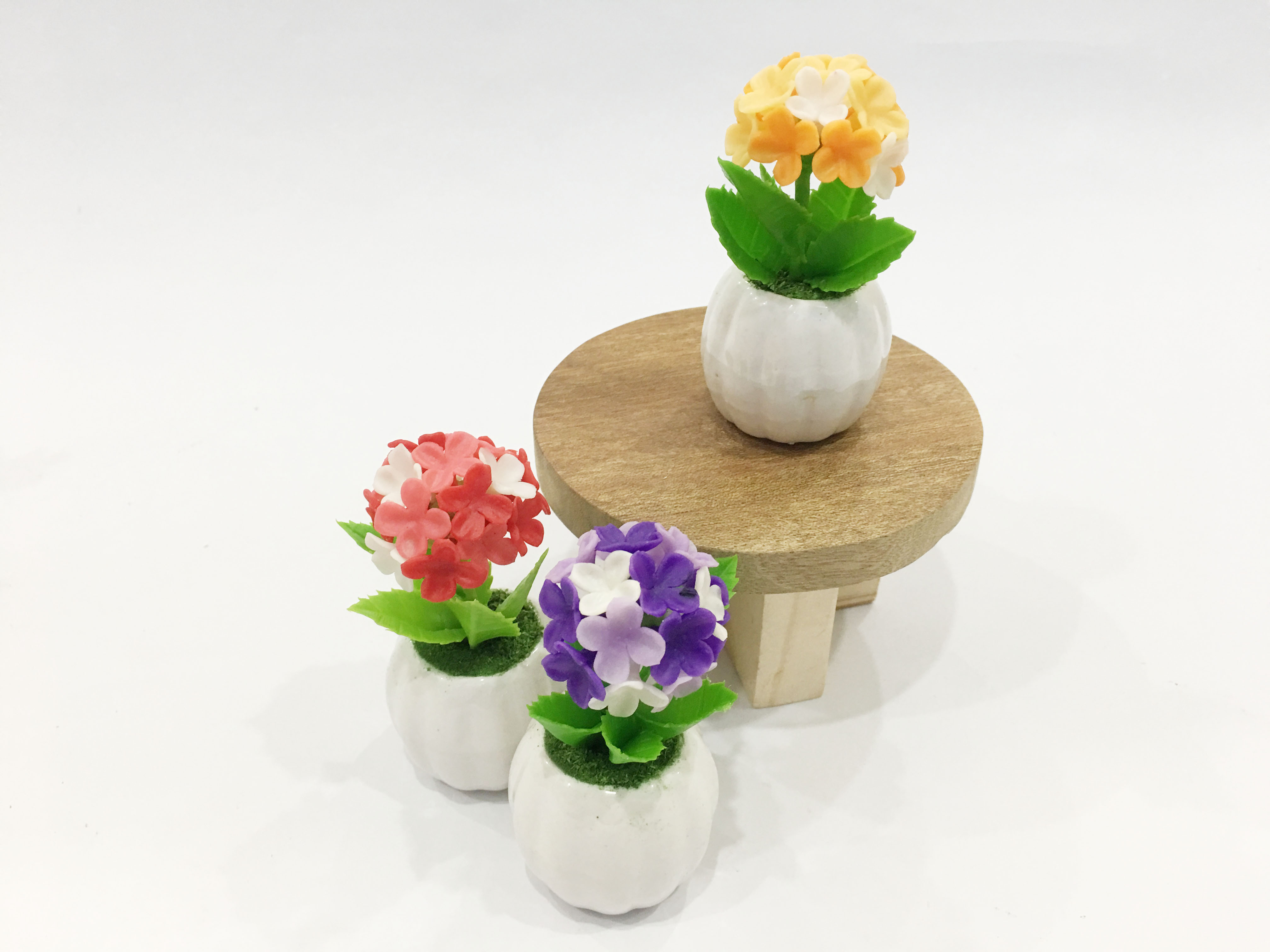 Chậu hoa đất sét mini - Cây hoa sống đời /cây lá bông  - Quà tặng trang trí handmade