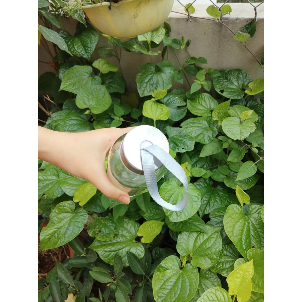 Bình thủy tinh đựng nước có dây treo loại 300ml, 500ml