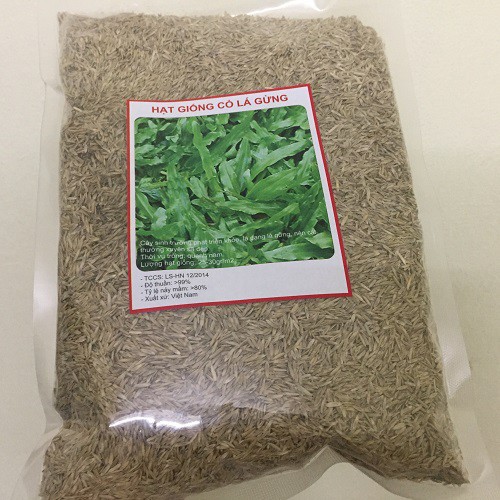 Gói 20 gram.Hạt giống cỏ lá gừng ,cỏ lá tre