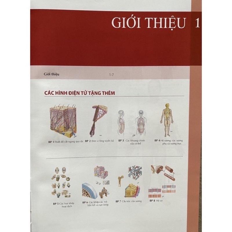 Sách - Atlas giải phẫu người 2023