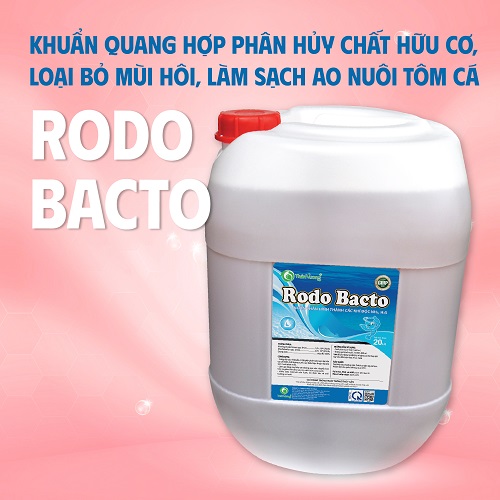 Phân hủy hữu cơ ao tôm RODO BACTO