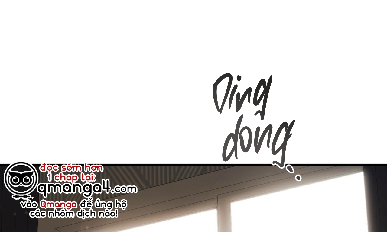 những chú thỏ của hapypy chapter 56 2