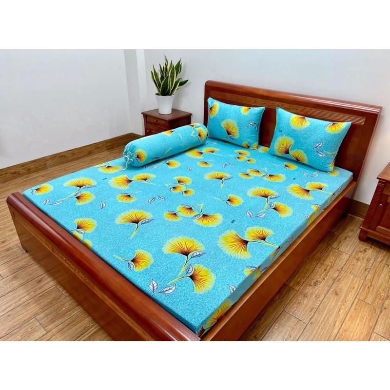 GIÁ SỈ Bộ Ga gối thun lạnh Hàn Quốc xịn -mềm mát giá tốt nhất 1m-1m8x2m