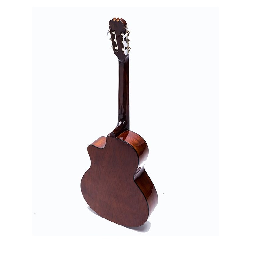 ĐÀN GUITAR CLASSIC DC100
