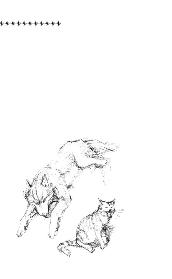 togari chapter 16 22