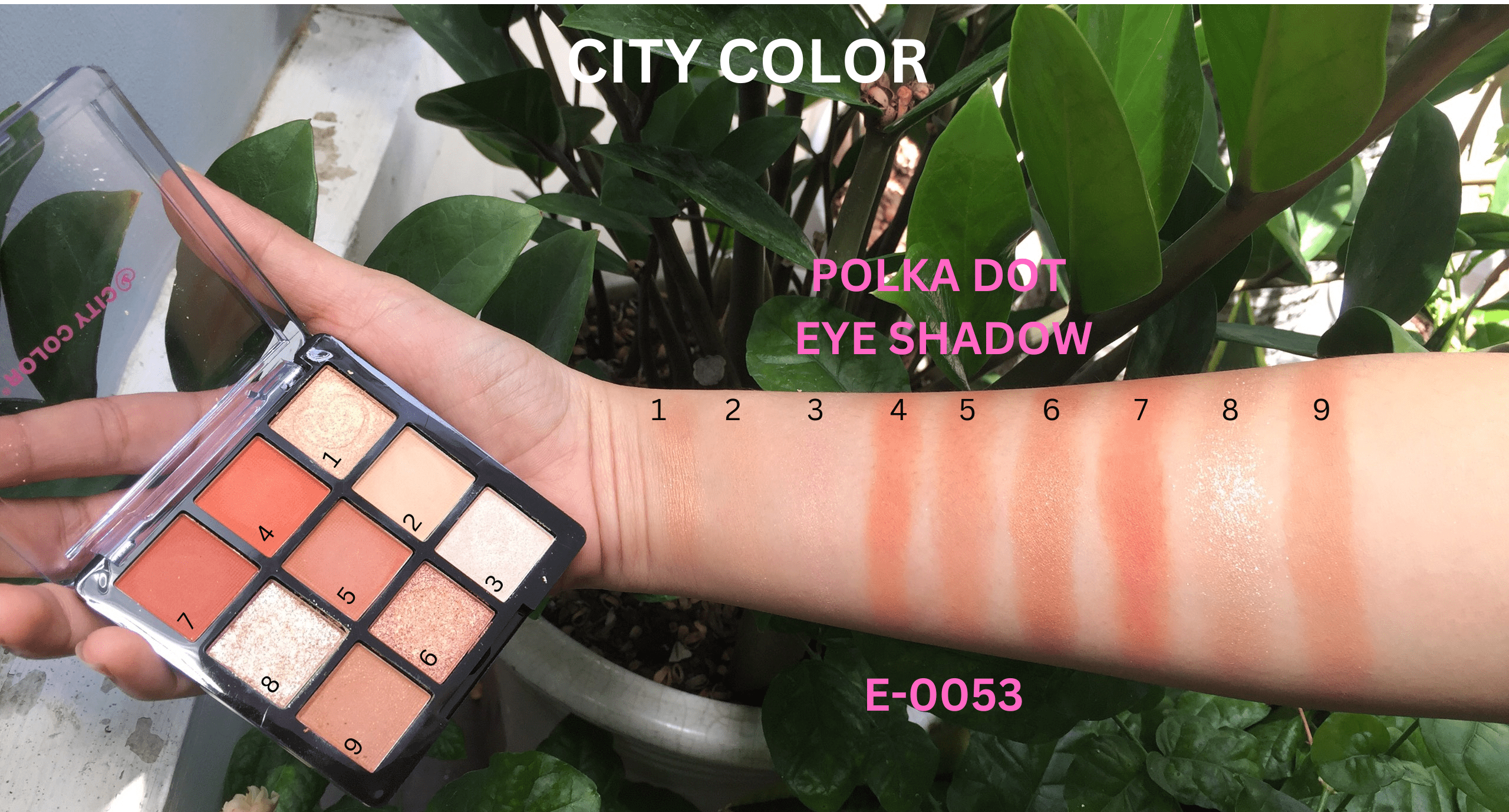 Phấn mắt CITY COLOR Polka dot