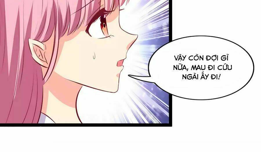 thỏ yêu tiểu vương phi chapter 114 2