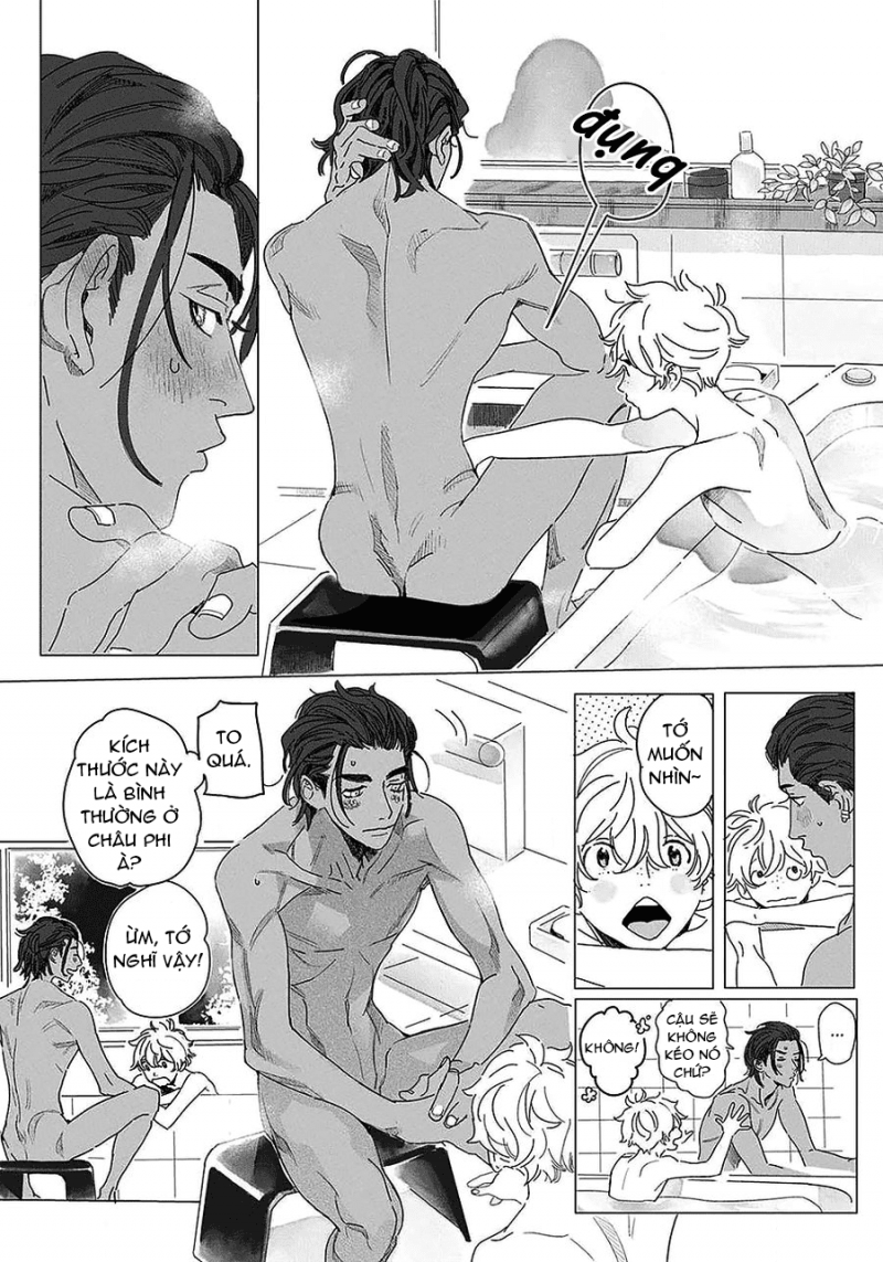 đất nước của những chú sư tử chapter 2 14