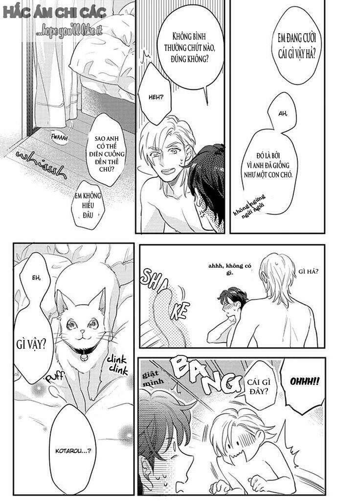 dorobou neko ni wa nusumena chapter 3 19