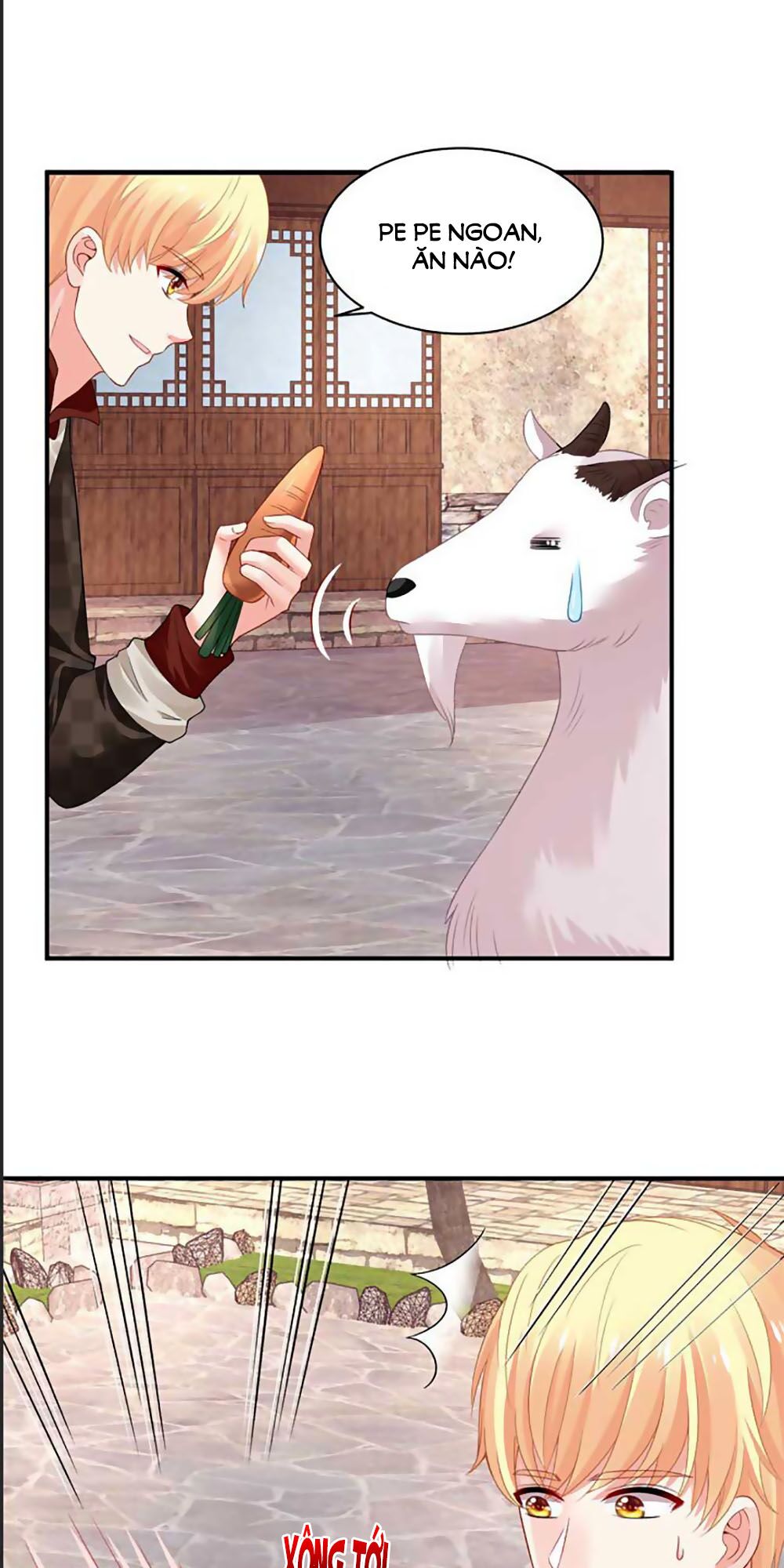 bạn trai 1/4 của tôi chapter 41 20