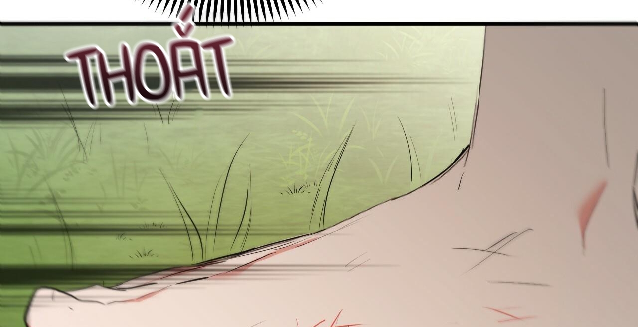 đàn thỏ của habibi chapter 36 230