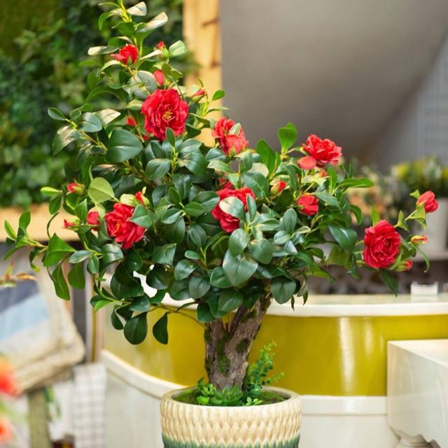 Cành lá chè xịn dài 40cm. Dùng để cắm lọ hoa trang trí, trang trí nhà cửa, quán ăn cafe
