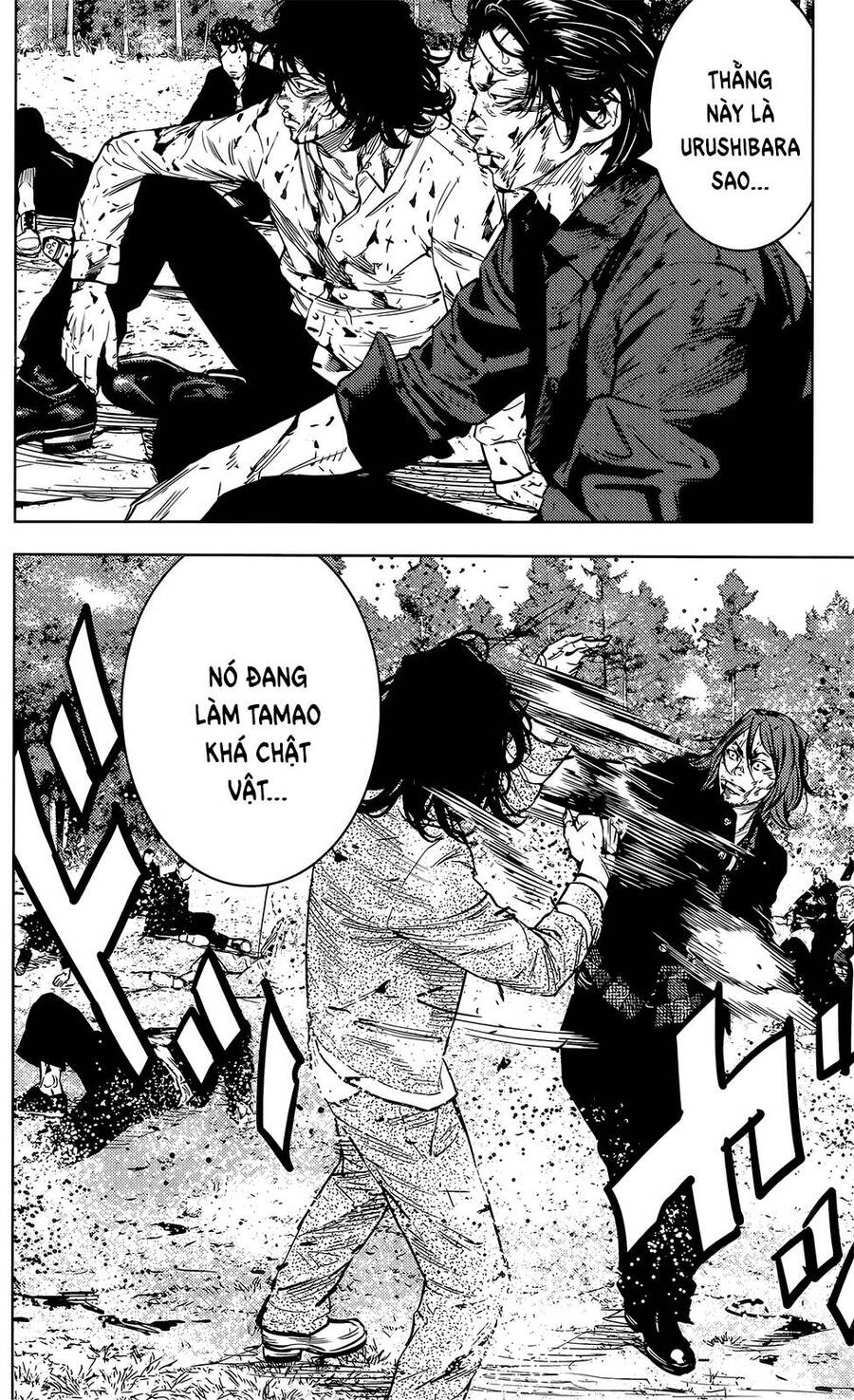 crows zero 2 suzuran x housen chapter 46 6