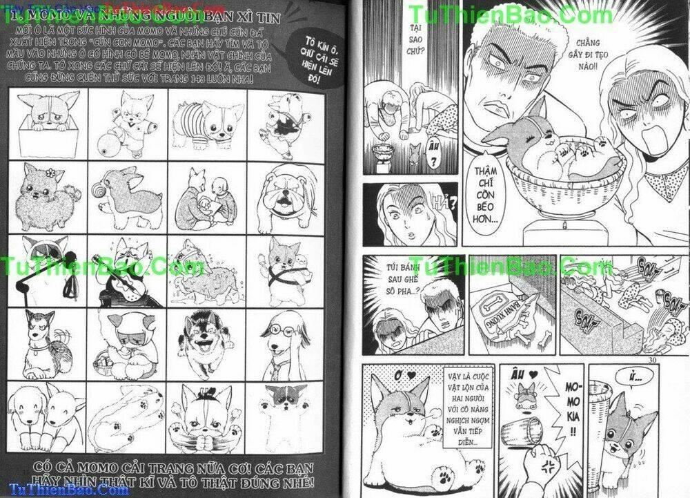 chó con mo mo chapter 4 16