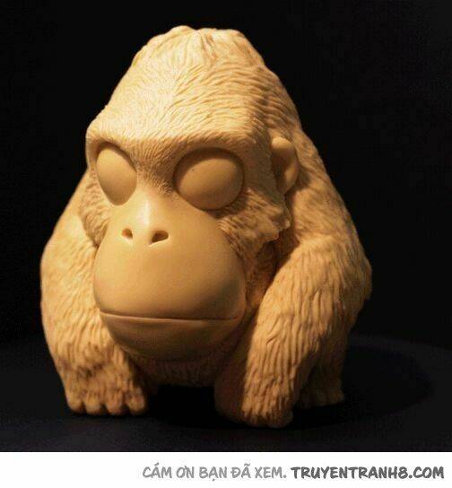 earth, human, and animal chapter 11 22