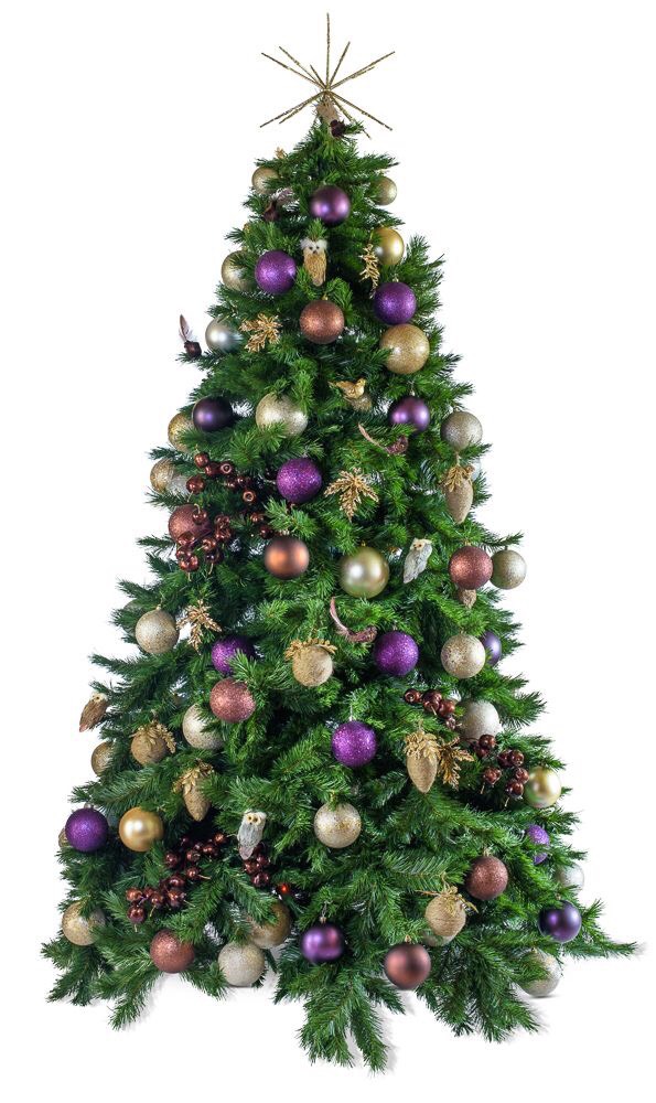 Bộ cây thông Noel kèm phụ kiện trang trí cây thông giáng sinh ctne35