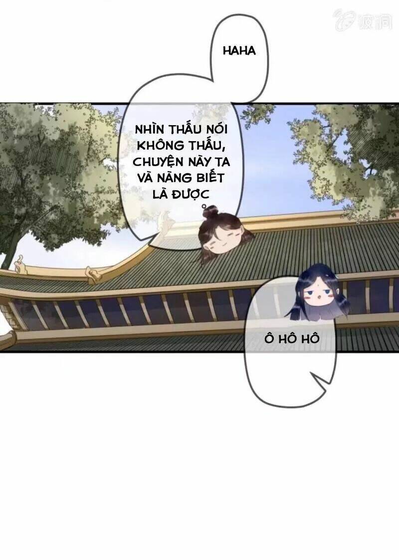 sủng phi của vương chapter 135 28