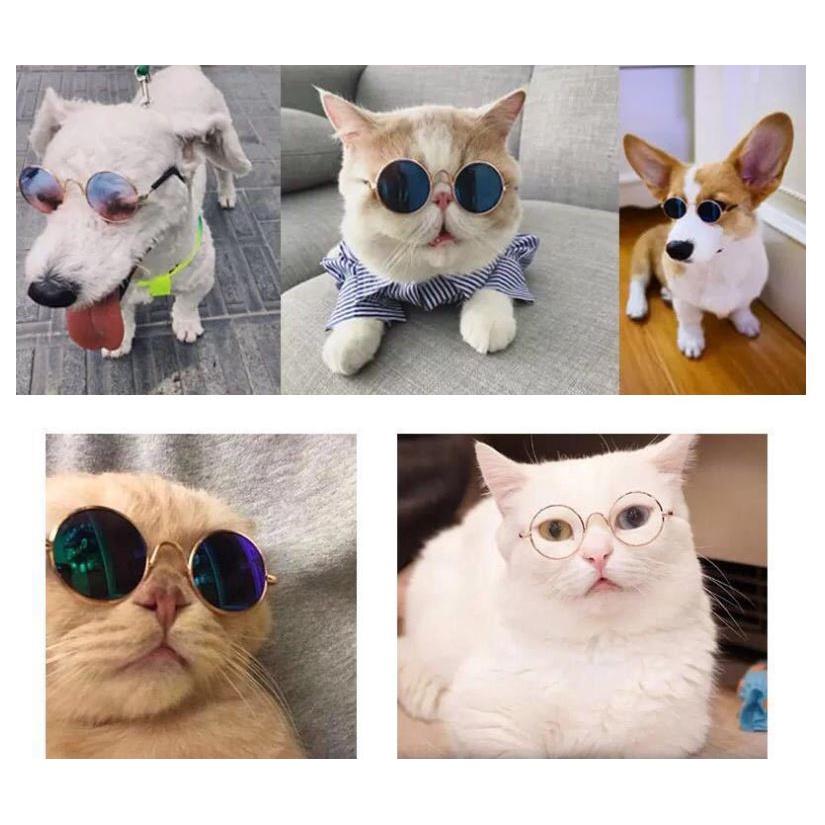 Mắt Kính chó mèo gọng vàng kính mát cho thú cưng chống tia UV D122