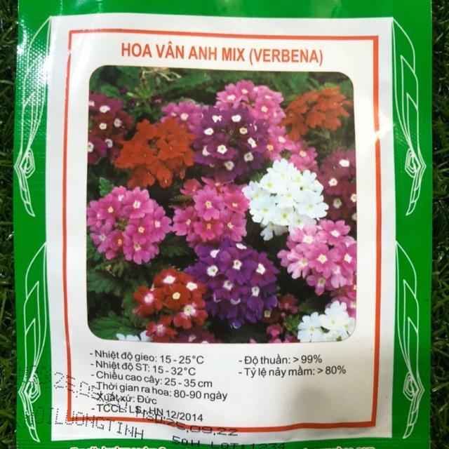 HẠT GIỐNG HOA VÂN ANH 50hạt/gói