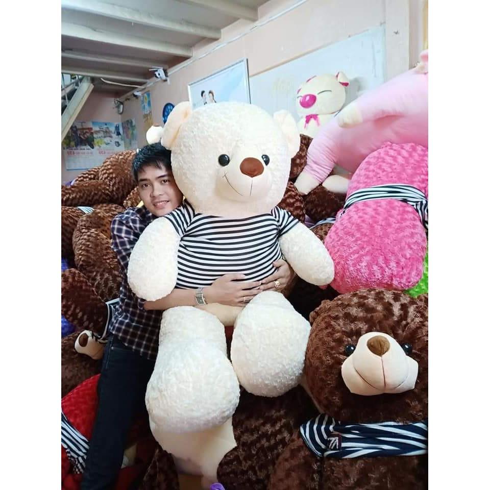 Gấu bông Teddy ̀ ̂́, gối ôm hình thú nhồi bông siêu to khổng lồ 1m8/1m5/1m3/1m1/95cm