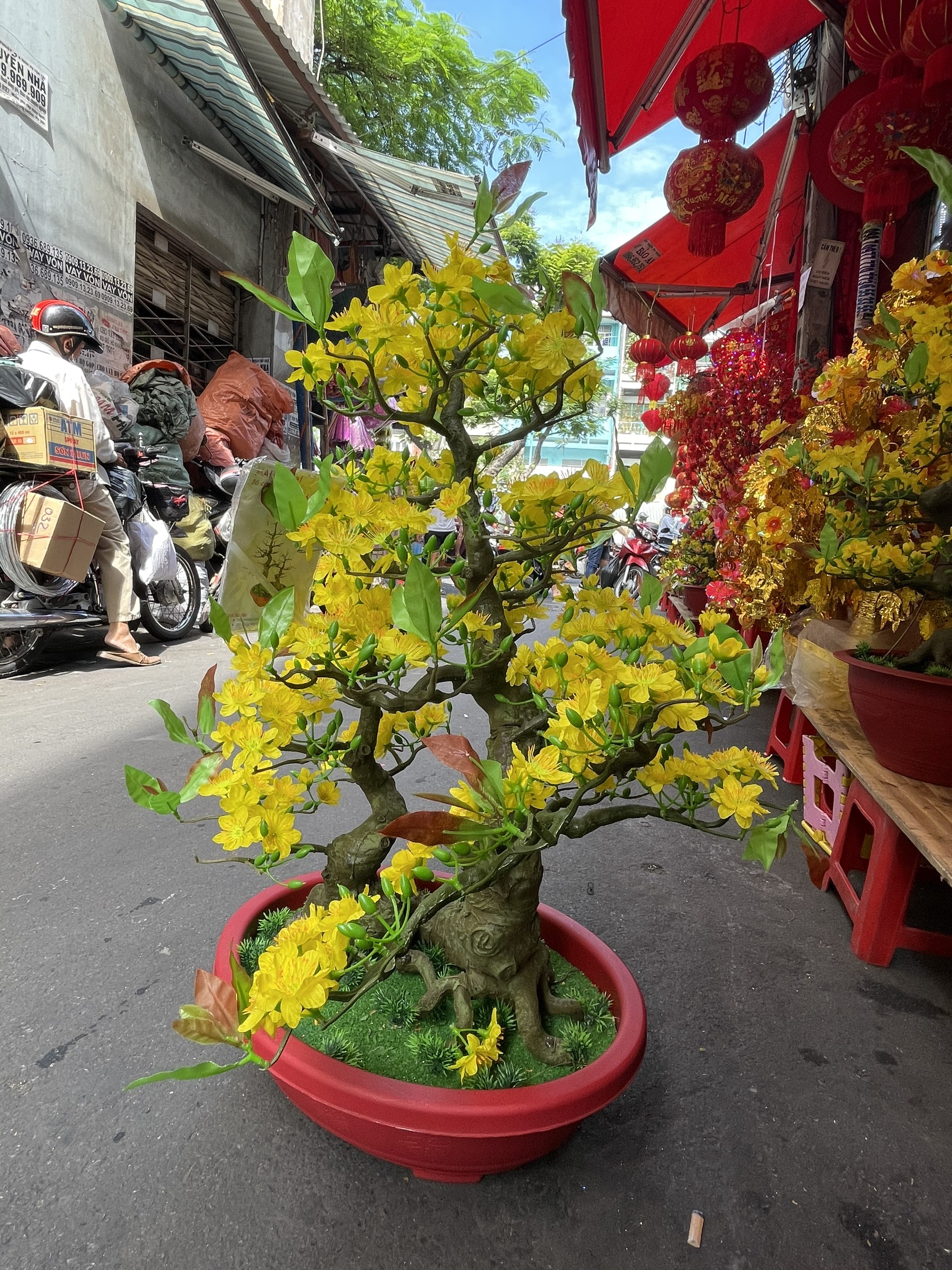 Cây Hoa Mai Bonsai Nhựa Cao 92 cm Hoa Mai Trang Trí Tết