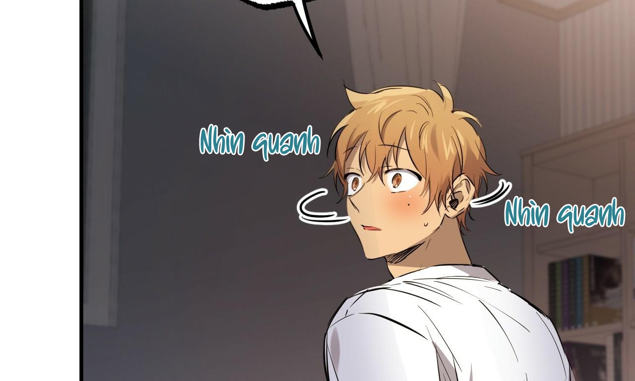 những chú thỏ của hapypy chapter 51 24