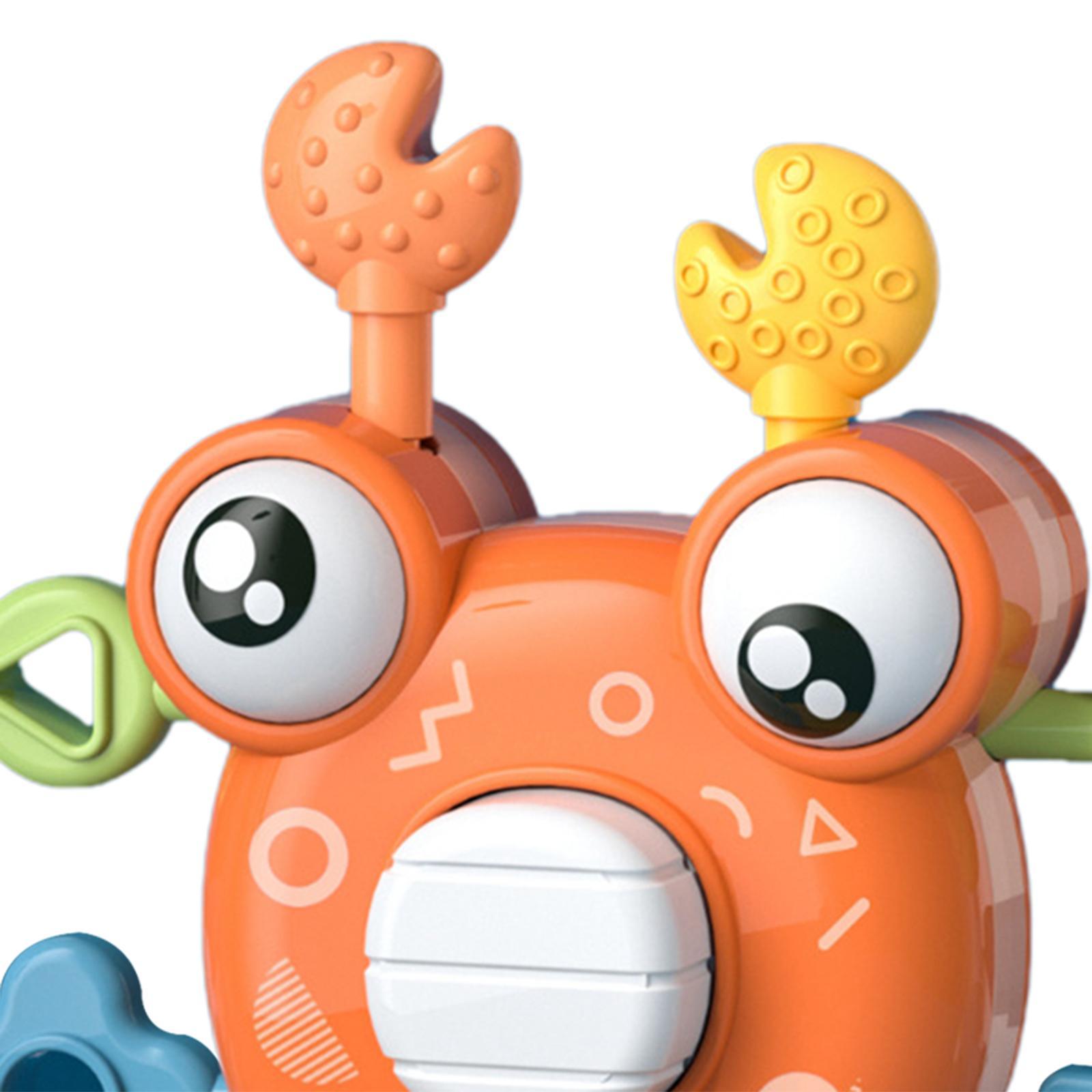 Animal Figure Toys Educational Toys Sensory Toys Toddlers Babies 1 Year