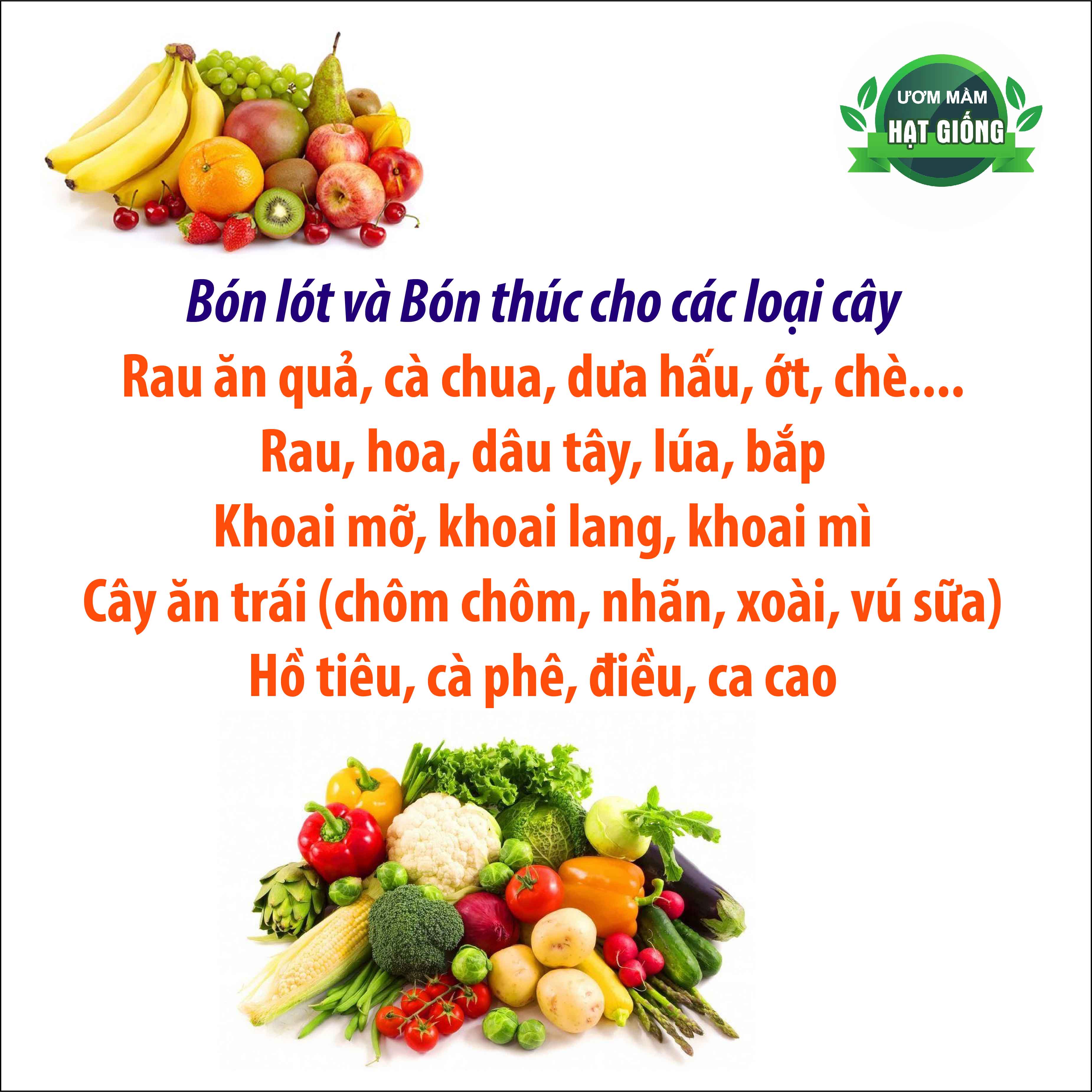 Phân hữu cơ tan chậm Jord- Nauy