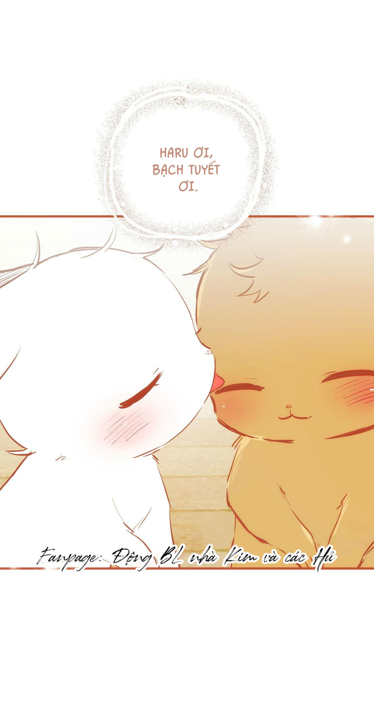 những chú thỏ của hapypy chapter 36 79